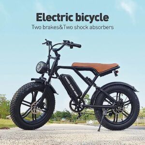 BreezeRider 20" Fat Tire Electric Bike for Adults 750W Brushless Motor 48V 15AH Removable Battery Ebike Commuter Electric Mountain Bike 7-Speed Dual Suspension