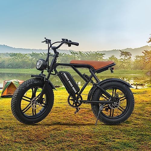 BreezeRider 20" Fat Tire Electric Bike for Adults 750W Brushless Motor 48V 15AH Removable Battery Ebike Commuter Electric Mountain Bike 7-Speed Dual Suspension