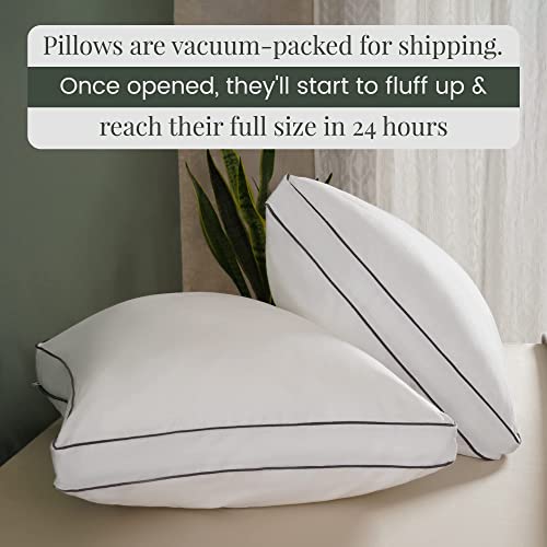 Cooling Pillow For Sleeping, Bed Pillows Standard Size Set of 2 for Sleeping, Pillow for Back, Stomach Sleeper Pillow, Pillows for Queen Bed, Back Pillow, Side Sleeper Pillow, Soft Pillow