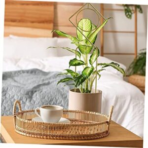 BESPORTBLE 2pcs Iron Climbing Frame Floral Decor House Plants Cord Holders Outdoor Decor Climbing Plant Support Iron Garden Trellis Iron Grid Flowers Golden Climbing Rose Trellis