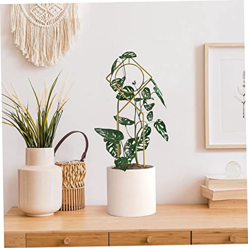 BESPORTBLE 2pcs Iron Climbing Frame Floral Decor House Plants Cord Holders Outdoor Decor Climbing Plant Support Iron Garden Trellis Iron Grid Flowers Golden Climbing Rose Trellis