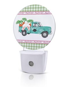 night light plug into wall, led nightlights easter truck with carrot bunny green plaid pattern small nightlight auto dusk-to-dawn sensor lamp led night lights for kid's bedroom, bathroom