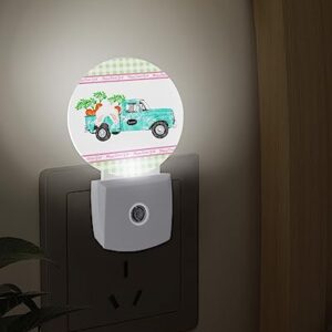 Night Light Plug into Wall, LED Nightlights Easter Truck with Carrot Bunny Green Plaid Pattern Small Nightlight Auto Dusk-to-Dawn Sensor Lamp LED Night Lights for Kid's Bedroom, Bathroom