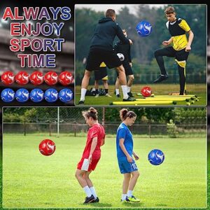 Libima 13 Pcs Soccer Ball Bulk 10 Pcs Official Size 5 Soccer Ball with High Capacity Carry Bag and 2 Pump Soccer Training Set for Youth Teens Adults Sport Gift (Red, Blue,Classic Style)