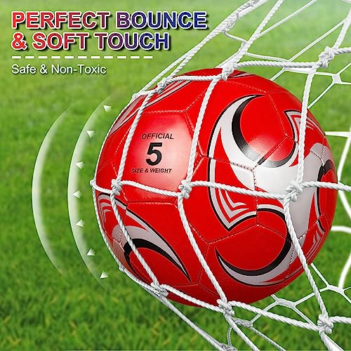 Libima 13 Pcs Soccer Ball Bulk 10 Pcs Official Size 5 Soccer Ball with High Capacity Carry Bag and 2 Pump Soccer Training Set for Youth Teens Adults Sport Gift (Red, Blue,Classic Style)