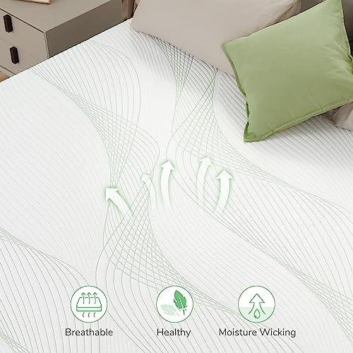 Novilla Queen Mattress, 12 Inch Gel Memory Foam Mattress for Plush Comfort, Cool Sleep, Pressure Relief, CertiPUR-US Certified, Mattress-in-a-Box, Embrace