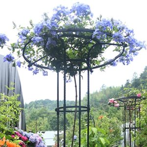 Vertical Metal Garden Trellis, Trellis for Climbing Plants, Flower Trellis, Umbrella Trellis, Garden Trellis Climbing Plants Support for Vines Tomatoes Peas Other Live Plants Support