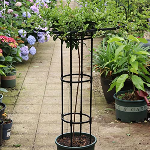 Vertical Metal Garden Trellis, Trellis for Climbing Plants, Flower Trellis, Umbrella Trellis, Garden Trellis Climbing Plants Support for Vines Tomatoes Peas Other Live Plants Support