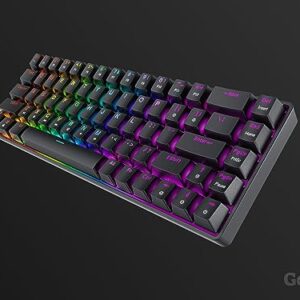 Geeky GK65 65% | Hot Swappable Mechanical Gaming Keyboard | 68 Keys Multi Color RGB LED Backlit for PC/Mac Gamer | ANSI US American Layout (Black, Mechanical Brown)