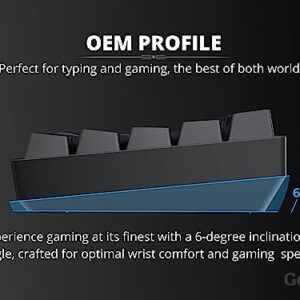 Geeky GK65 65% | Hot Swappable Mechanical Gaming Keyboard | 68 Keys Multi Color RGB LED Backlit for PC/Mac Gamer | ANSI US American Layout (Black, Mechanical Brown)