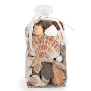 andaluca seashell driftwood home fragrance potpourri vase & bowl filler decor (coral beach)