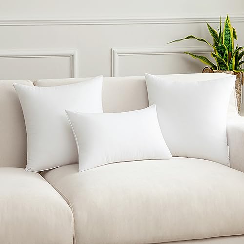 MIULEE 12x24 Pillow Inserts Throw Pillow Inserts Set of 2 12 x 24 Inches Pillow Inserts Square White Decorative Throw Pillows for Couch Sofa Bed