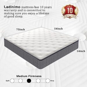 MICOOLS Full Mattress,14 inch Hybrid Mattress in a Box Memory Foam Breathable Comfortable,Motion Isolation Individually Wrapped Coils,Euro Top Medium Firm Full Size Mattress