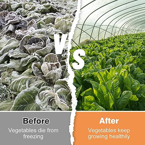 Alphatool Plant Covers Freeze Protection, 10 x 30ft Durable Plastic Frost Blanket for Winter Rain Snow Weather, Clear Waterproof Floating Row Cover for Outdoors Garden Plants Vegetables Crops