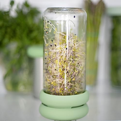 Sprout Huggers | Silicone Sprouting Lids | Fits Any Jar ||No Rust, No Mess | Sprouting Mason Jar Kit | Grow Sprouts Indoors| Food Huggers Urban Garden | Easy Germination Broccoli Alfalfa Bean Sprouts