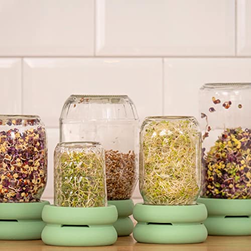 Sprout Huggers | Silicone Sprouting Lids | Fits Any Jar ||No Rust, No Mess | Sprouting Mason Jar Kit | Grow Sprouts Indoors| Food Huggers Urban Garden | Easy Germination Broccoli Alfalfa Bean Sprouts