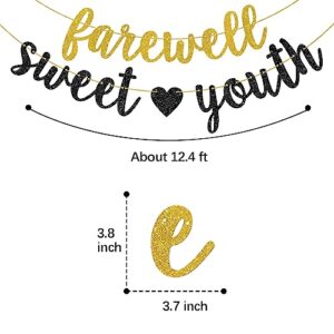 Helewilk Gold & Black Glitter Farewell Sweet Youth Banner, Funeral for My Youth Birthday Garland for 30th 40th 50th 60th Birthday Party Decoration, Funny Women Men Birthday Party Bunting Decor