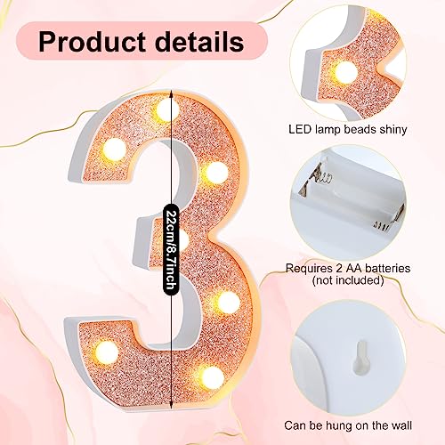 8.7'' Decorative LED Light up Numbers, Light up Number Sign for Night Birthday Party Decorations Happy Birthday LED Sign Backdrop Anniversary Wedding Party Bar Wall Decor (Rose Gold,30th)