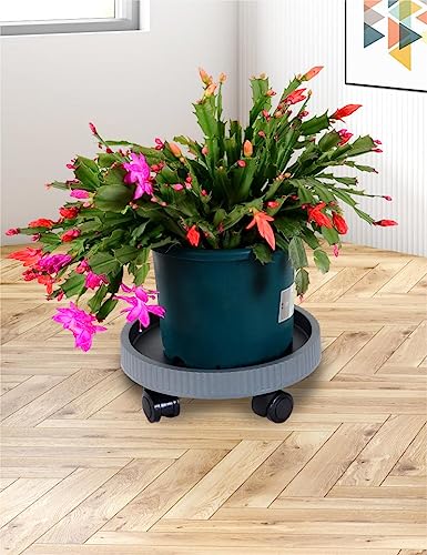 3 Pack Plant Caddie with Wheels and Water Storage Tray, 12.6" Rolling Plant Stand, 4-Wheeled Plant Roller, Lockable Casters, Heavy Duty Plant Caddy for Large Indoor and Outdoor Planters