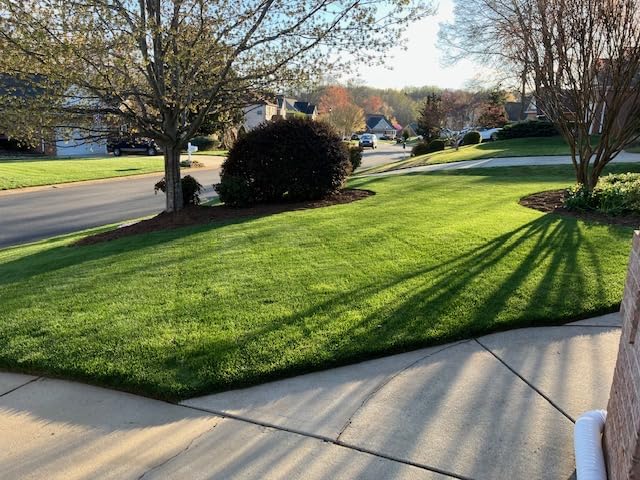 10-0-20 Emerald Lawn Fertilizer - 45% XCU Slow-Release, 10% Iron and GreenTRX Bios (1 Bag Covers up to 5,000 sq. ft.)