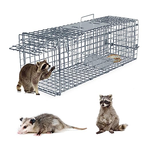 Moclever Humane Rat Trap Cage Catch Release Live Rat Traps Live Traps for Rat Live Animal Rodent Cage Collapsible Galvanized Wire for Small Raccoons Beavers Groundhogs Foxes Armadillos-23.3X7.7X7.2In