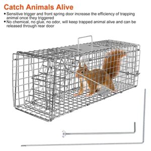 Moclever Humane Rat Trap Cage Catch Release Live Rat Traps Live Traps for Rat Live Animal Rodent Cage Collapsible Galvanized Wire for Small Raccoons Beavers Groundhogs Foxes Armadillos-23.3X7.7X7.2In