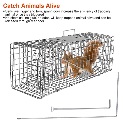 Moclever Humane Rat Trap Cage Catch Release Live Rat Traps Live Traps for Rat Live Animal Rodent Cage Collapsible Galvanized Wire for Small Raccoons Beavers Groundhogs Foxes Armadillos-23.3X7.7X7.2In