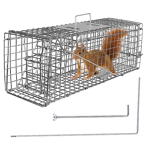 Moclever Humane Rat Trap Cage Catch Release Live Rat Traps Live Traps for Rat Live Animal Rodent Cage Collapsible Galvanized Wire for Small Raccoons Beavers Groundhogs Foxes Armadillos-23.3X7.7X7.2In