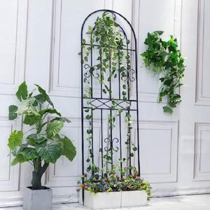 Garden Trellis 1 Pack Large Size Heavy Duty Rustproof Wall Trellis for Climbing Plants Outdoor Metal Decoration Large Trellis for Potted Plants Support Trellis for Roses Vegetable Vines Black (Color