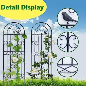 Garden Trellis 1 Pack Large Size Heavy Duty Rustproof Wall Trellis for Climbing Plants Outdoor Metal Decoration Large Trellis for Potted Plants Support Trellis for Roses Vegetable Vines Black (Color