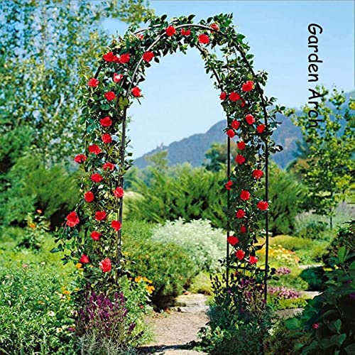 Rose Arch Arbor Trellis Heavy Duty Garden Arch Tubular Pergola Frame Metal Wedding Arch for Outdoor Garden Roses Vines (High : 2.4m, Size : 3m/9.8ft)