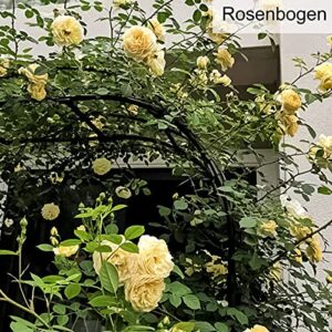 Rose Arch Garden Arbors,Garden Arch Used for Climbing Rose Plants,Wedding Arches,Metal Pergola Climbing Aid,Trellis Climbing Arch,Weatherproof,Trellis,Garden Lawns Celebratory Decoration