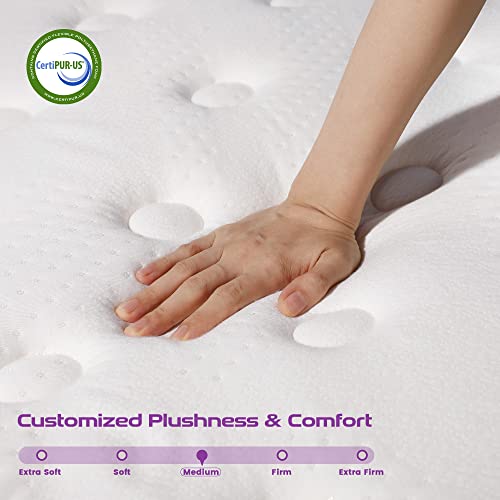 Sersper 12 Inch Memory Foam Hybrid Pillow Top Queen Mattress - 5-Zone Pocket Innersprings Motion Isolation - Heavier Coils for Durable Support - Medium Firm - R&D in North America