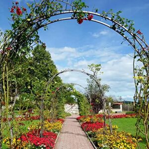 Garden Arch Simple Climbing Plants Rose Arch,Weatherproof Galvanized Pergola Arbor Trellis,for Outdoor Terrace/Garden Decoration Rose Trellis (Color :, Size : 260x230x40cm)