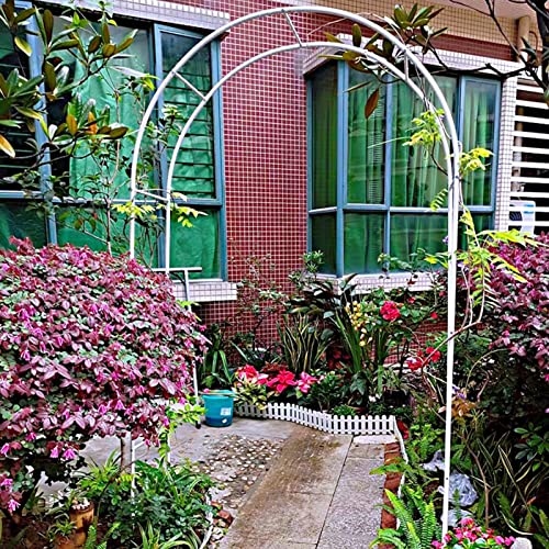 Garden Arch Simple Climbing Plants Rose Arch,Weatherproof Galvanized Pergola Arbor Trellis,for Outdoor Terrace/Garden Decoration Rose Trellis (Color :, Size : 350x220x25cm)