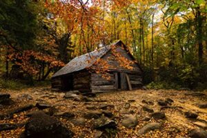 country photography print (not framed) picture of old barn surrounded by fall foliage on autumn day in great smoky mountains tennessee rustic wall art cabin lodge decor (8" x 10")