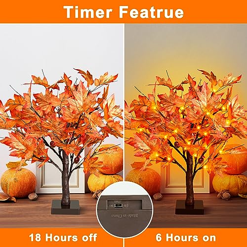 Remon 36 LED Lighted Fall Maple Tree - 1.5FT Thanksgiving Tabletop Lamp Decor with, 72 Maple Leaves, 6 Acorns, Timer Battery Operated 18 Inch Burlap Base Fall Artificial Tree for Autumn Decorations