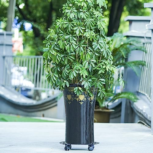 Artermy Plant Caddy with Wheels Rolling Plant Stand, 12'' Heavy Duty Plant Stand Black Tray for Patio Flower Pot,Large Plants Succulent Pots (2 Packs)