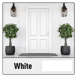 DWIL Door Paint For Front Door - Water Based Metallic Paint, Metal Door Paint, Interior & Exterior, for Metal and Wood Surface in Front door, Garage Door, Window, Desk, Chair, 32oz, White