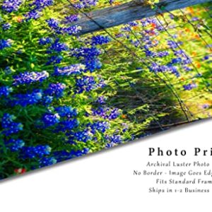 Country Photography Print (Not Framed) Vertical Picture of Fence Post Surrounded by Bluebonnets on Spring Day in Texas Wildflower Wall Art Farmhouse Decor (5" x 7")