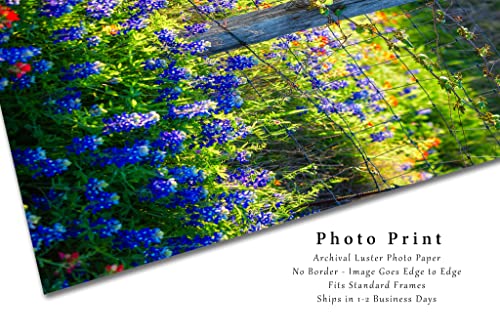 Country Photography Print (Not Framed) Vertical Picture of Fence Post Surrounded by Bluebonnets on Spring Day in Texas Wildflower Wall Art Farmhouse Decor (5" x 7")