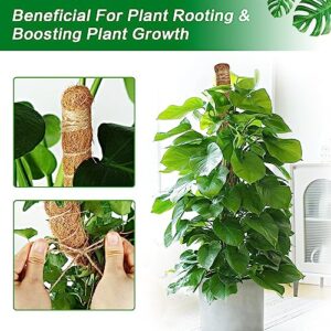 Pechaut 47 Inch Moss Pole for Climbing Plants Monstera, 1 Pack Bendable & Durable Plant Poles for Indoor Plants, Suitable Gift for Plant Lovers