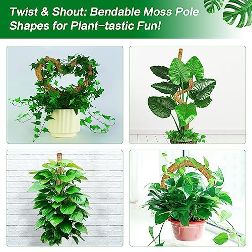 Pechaut 47 Inch Moss Pole for Climbing Plants Monstera, 1 Pack Bendable & Durable Plant Poles for Indoor Plants, Suitable Gift for Plant Lovers