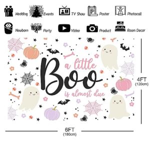 Ticuenicoa 6×4ft Halloween Baby Shower Backdrop A Little Boo is Almost Due Pink Ghost Bat Pumpkin Girls Kids Hey Boo 1st Birthday Party Photography Background First Birthday Party Banner Decor