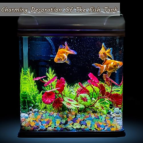 Kaiyuan Dynasty 100pc Sea Glow in The Dark Rocks Aquarium Glow Stones Rocks for Fish Tank Glow Pebbles for Fairy Garden,Yard,Bonsai,DIY Crafts,Color