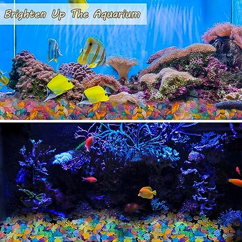 Kaiyuan Dynasty 100pc Sea Glow in The Dark Rocks Aquarium Glow Stones Rocks for Fish Tank Glow Pebbles for Fairy Garden,Yard,Bonsai,DIY Crafts,Color