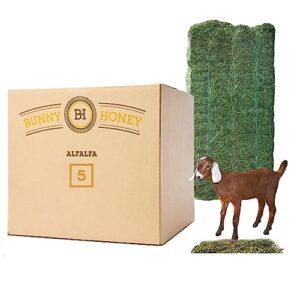 bunny honey bulk fresh alfalfa hay 80oz usda organic alfalfa hay for goats - best cut & delivered fresh - promotes healthy digestive function - 5 pound