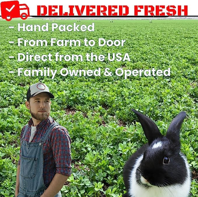 Bunny Honey Bulk Fresh Alfalfa Hay 80oz USDA Organic Alfalfa Hay for Goats - Best Cut & Delivered Fresh - Promotes Healthy Digestive Function - 5 Pound