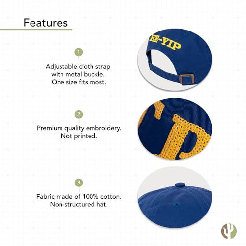 Sigma Gamma Rho Baseball Hat Brimmed Embroirderd Hats Cap Adjustable Cloth Strap Adult (Style 2) Blue