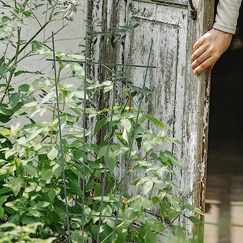 MAGICLULU House Plant Trellis for Potted Plants Plant Climbing Trellis 2pcs Iron Vine Climbing Support Rack Flower Garden Plant Stakes for Rose Vine Pea Ivy Cucumbers Flower Vegetables
